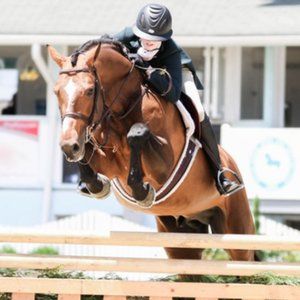 ISO size 28 tailored sportsmans, sun shirts, lululemon, etc